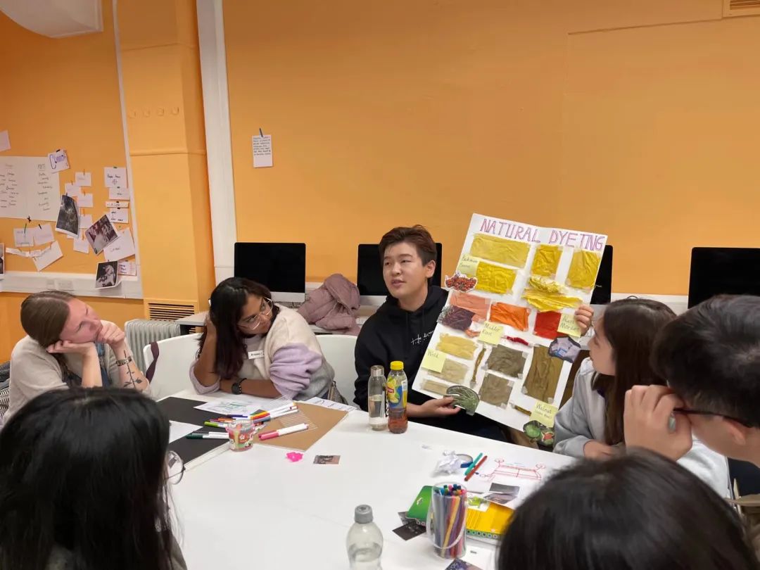 可持续行动月 | 六月来紫竹跨界解锁七种低碳行动